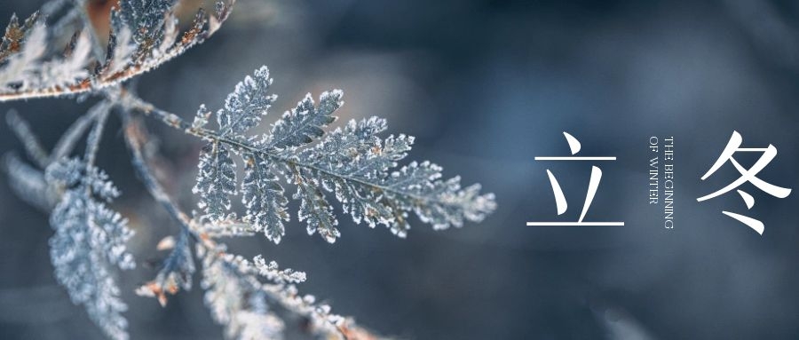 立冬 ▎朔風(fēng)始起，萬物境藏