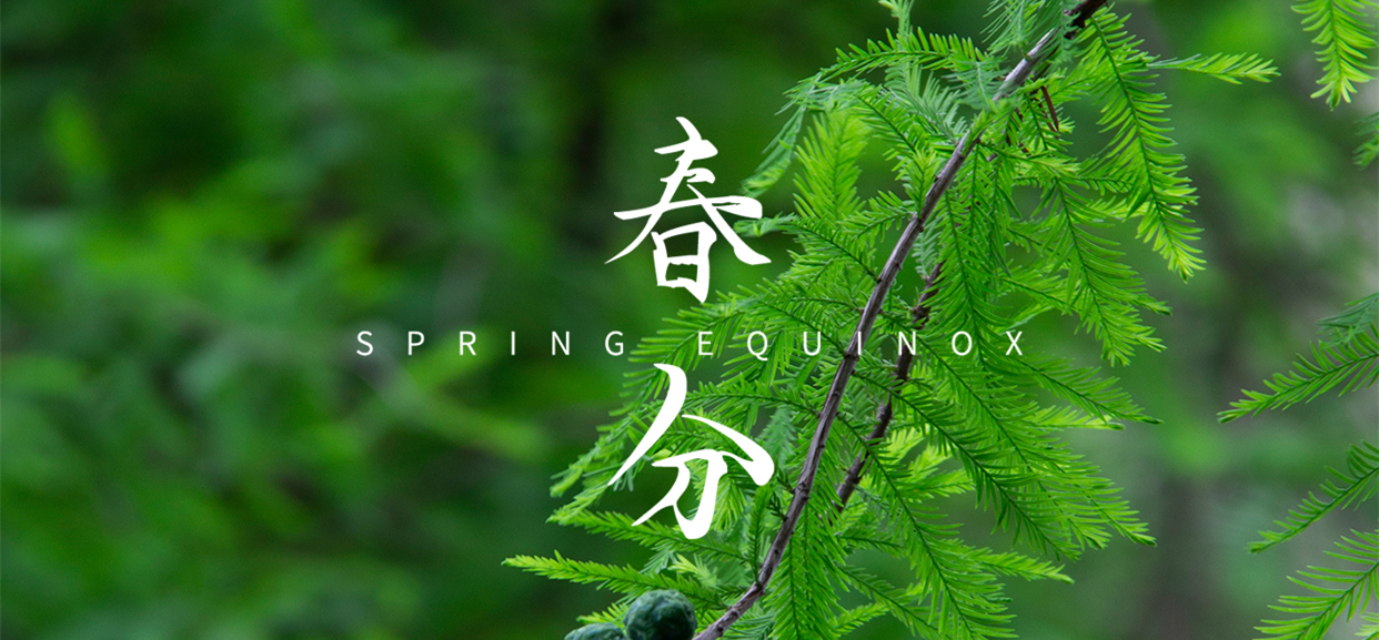 春分 ▎不負(fù)春光，萬(wàn)物生長(zhǎng)