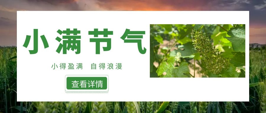 小滿 ▎小得盈滿，自得浪漫~