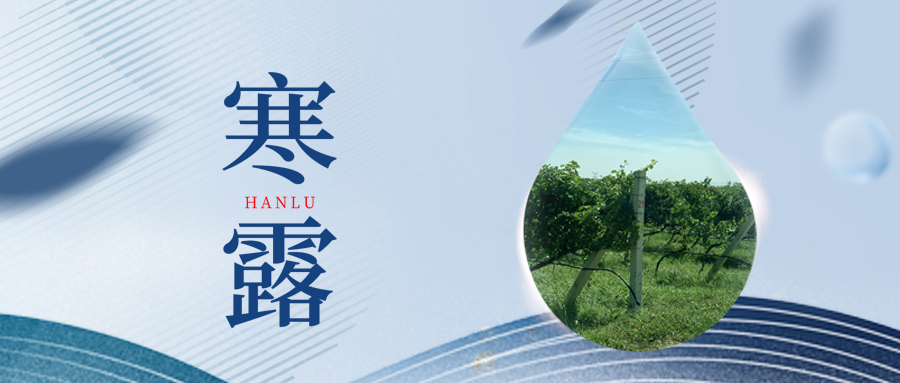 寒露丨夜露凝寒，萬物皆秋
